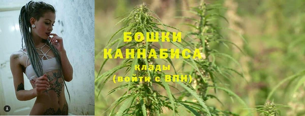 трава Елизово