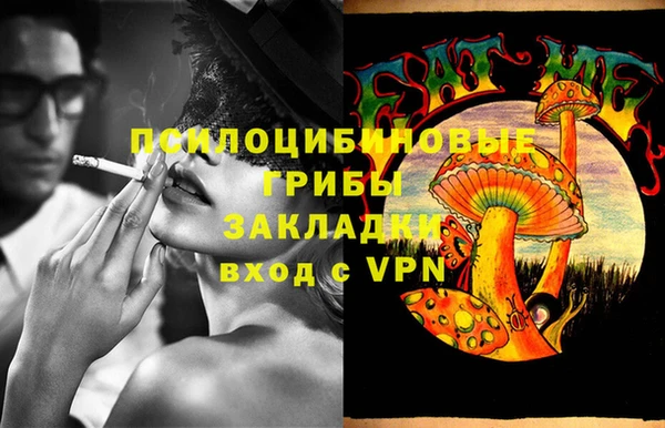 трава Елизово