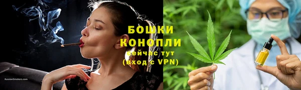 гидра Дмитриев