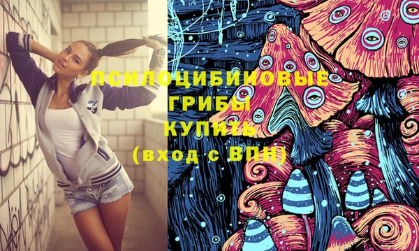 трава Елизово